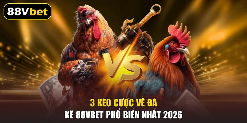 Đá Gà Cựa Dao | Cách Thức Đầy Kịch Tính Tại 88VBET 20266 3 3 kèo cược về đá kê 88VBET phổ biến nhất 2026