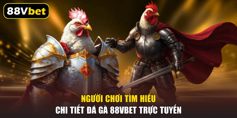 Người chơi tìm hiểu chi tiết đá gà 88VBET trực tuyến