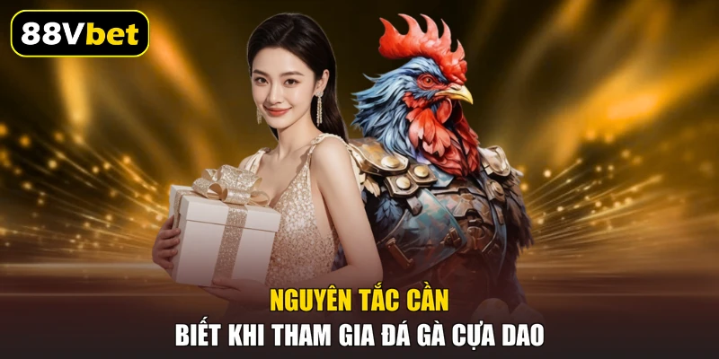 Đá Gà Cựa Dao | Cách Thức Đầy Kịch Tính Tại 88VBET 20266 2 Nguyên tắc cần biết khi tham gia đá gà cựa dao