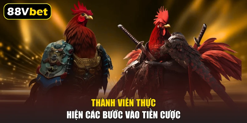 Thành viên thực hiện các bước vào tiền cược